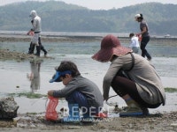 충남 당진으로 떠나는 어촌 체험여행