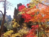 가을 여행의 제왕, 단풍놀이 기획전