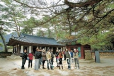 영월① 비경 속에 잠든 어린 임금