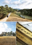 영월① 비경 속에 잠든 어린 임금