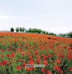 안성⑤ 이야기가 숨 쉬는 살아 있는 박물관