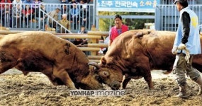 주말 여행객을 위한 무료 상설 공연