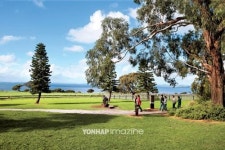 빅토리아③ 필립 아일랜드, 동물들의 지상낙원