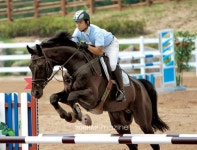 상주③ 상주의 새로운 미래, 승마