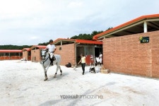 상주③ 상주의 새로운 미래, 승마