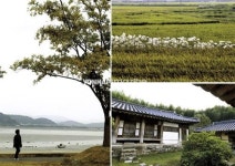 군산① 기분 좋은 바람이 부는 땅