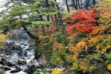 정선④ 5일장에서 강원도의 정서를 경험하다