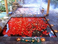 추위를 녹이는 따스한 온천 여행 떠나요!