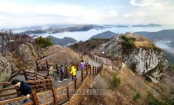 바다백리길① 쪽빛 바다와 신록에 잠기다