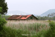 시흥 갯골길② 이동 방법, 함께 둘러볼 곳