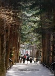 부안② 내변산, 선계로 향하는 길목