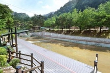 박달재 자연휴양림, 숲속에서 보내는 이상적인 휴가