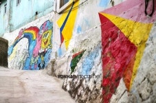 개미마을, 그곳에 꿈과 현실이 있다