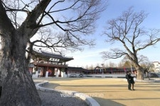 수원~오산 20번 버스, 다양한 명소 지나는 흥겨운 여행