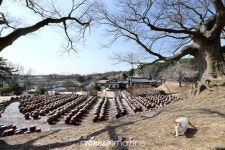 논산 명재고택, 지혜와 배려와 과학으로 지은 집