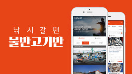 물반고기반의 아이스앤브이, 50억 원 투자 유치