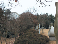 [문화 동서남북] 죽어서 바래지고, 죽어서도 빛이 되다