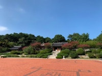 [#여행어디] 속초·양양·강릉, 동해안 훑어보는 언택트 여행