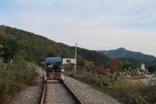 [#B컷 여행] 원주에선 연인과 뮤지엄 산을, 가족과 소금산 출렁다리를