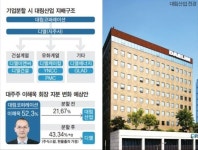 대림산업 기업분할 최대 수혜자는 이해욱 회장