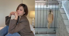 아이비, 으리으리한 양평집 CCTV서 괴생명체 포착? 무서워요..