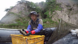 ‘요상해’ 직장인 시절 수입 4배 이상 버는 청년어부→서핑 국가대표 수련법 공개