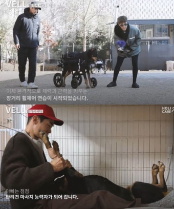 배정남, 전신마비도 이겨낸 반려견과 감동 재활훈련 '기적이다'