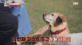 ‘동물농장’ 尹대통령 부부 출연…“정치 편향” 비판 속 반려인들은 ‘환영’