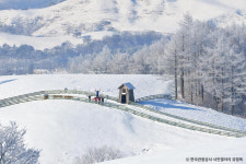 짧은 설 연휴, 마지막 겨울 만끽하는 가족 나들이 어떠세요