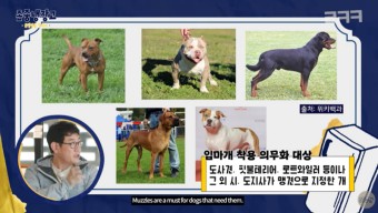 이경규 ‘존중냉장고’ 진돗개 입마개 논란…“상처받은 반려인 분들 죄송” [공식]
