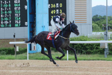 [경마]  스피드영, 1600m 신기록으로 제17회 오너스컵 정상 등극