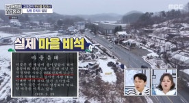 [TVis] 양평=김대호 마을? “큰아버지 땅에 비석 세워” (홈즈)