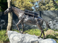 韓 전쟁에서 전우 지킨 제주마 ‘레클리스’