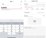 네이버·카카오 페이 머니, 왜 ‘만원대’ 충전만 가능할까