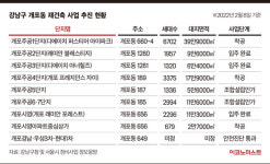 개도 포르쉐 탄다? ‘강남부촌’ 자리 잡는 개포동[강남 재건축⑦]
