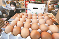 6월에도 장바구니 물가 줄줄이 오른다…탄산음료부터 계란까지 ‘비상’