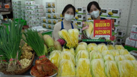 절임배추·김치양념’ 저렴하게 사세요…유통가, 사전 예약 판매 돌입