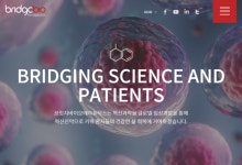 브릿지바이오, 비소세포폐암 치료제 후보물질 美 임상 1·2상 승인