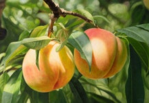 볼수록 더 눈에 담고 싶은[아트 갤러리]