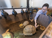 태림회계법인사업본부 | 세상물정 모르던 회계사, 도약의 기회를 잡다 [CEO의 방]