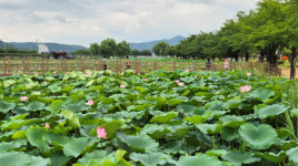 구미 지산샛강생태공원, 영천 나무와중학교 산림청 모범도시숲 선정
