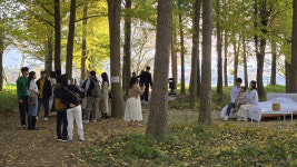 고령군, 은행나무숲 황금물결 속 추억 만들어요...침대 포토존 인기 폭발