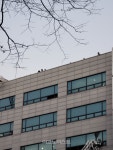 분당 BYC 빌딩 화재, 30분 만에 진화…“큰 인명 피해 없어”