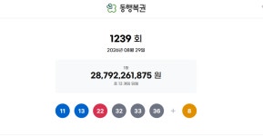 “1등 22억원” 로또 1239회 당첨번호 ‘11·13·22·32·33·36’