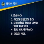 인천UTD, 91년생 양띠 4인방의 톡톡 튀는 TALK ①