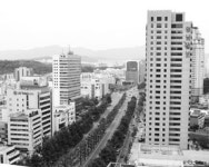 ‘절망의 도시’ 자학 떨쳐낸 大邱