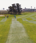 [Golf] BIP 컨트리클럽