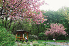 [Kiss  부르는 공간] 방문자를 시인으로 만드는 의왕 백운호수