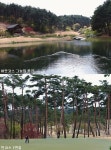 [Golf] 샌드파인GC