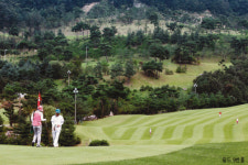 [Golf] 센추리21CC